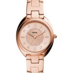 Women's Gabby Water Resistance Stainless Steel Analog Watch ES5070 - 34 mm - Rose Gold